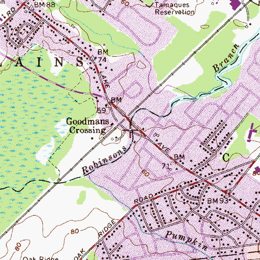 Topographic Map of Goodmans Crossing, NJ