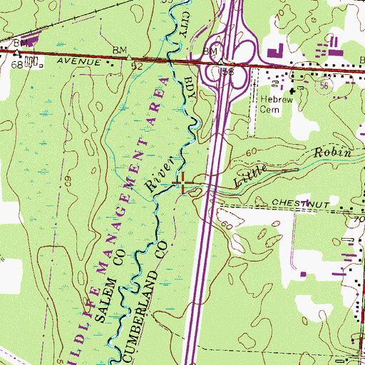 Topographic Map of Little Robin Branch, NJ