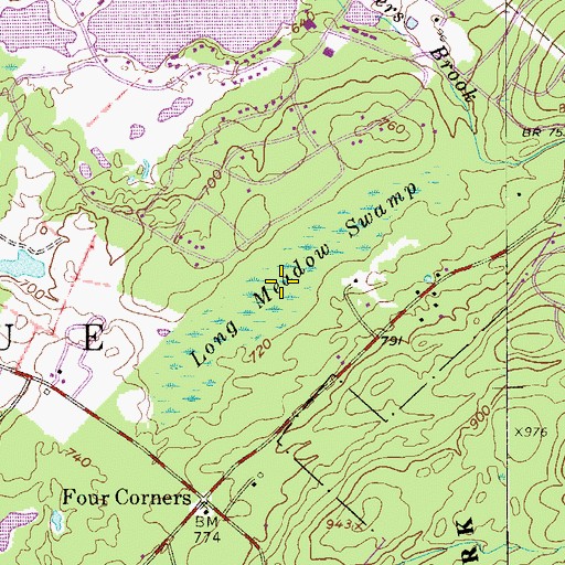 Topographic Map of Long Meadow Swamp, NJ
