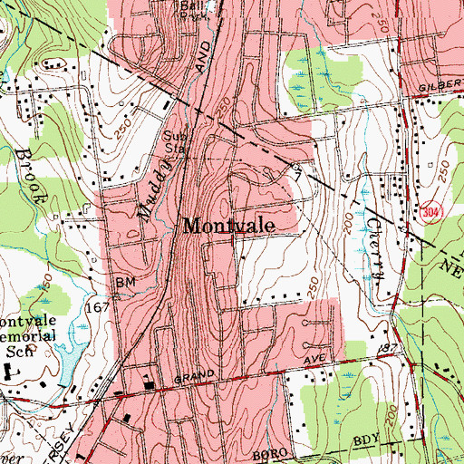 Topographic Map of Montvale, NJ