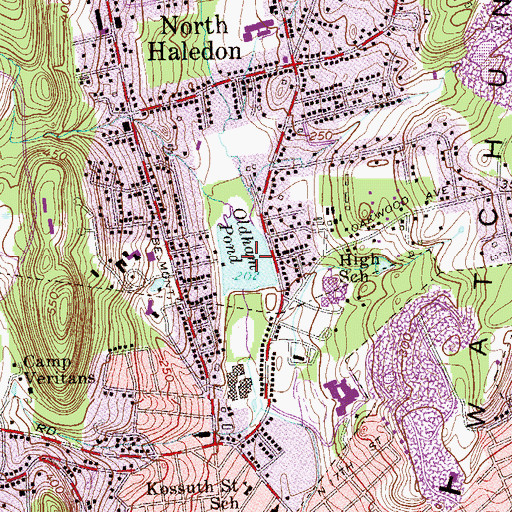 Topographic Map of Oldham Pond, NJ