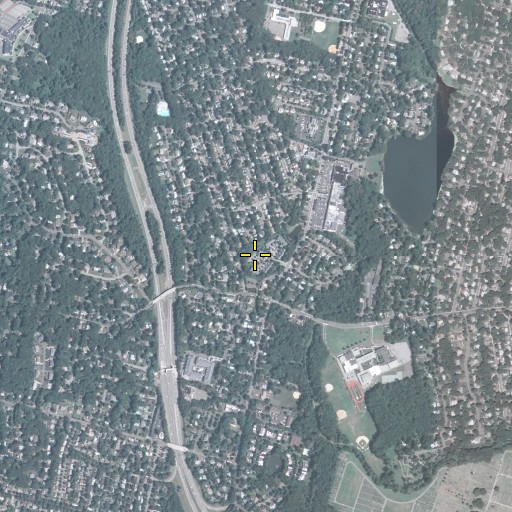 Aerial/Satellite Image of Pine Lake, NJ