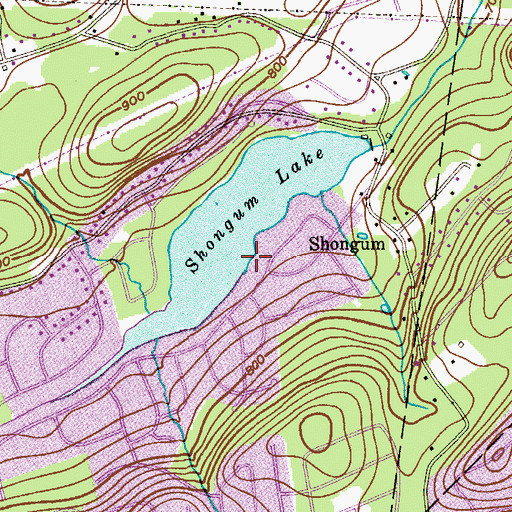 Topographic Map of Shongum Lake, NJ