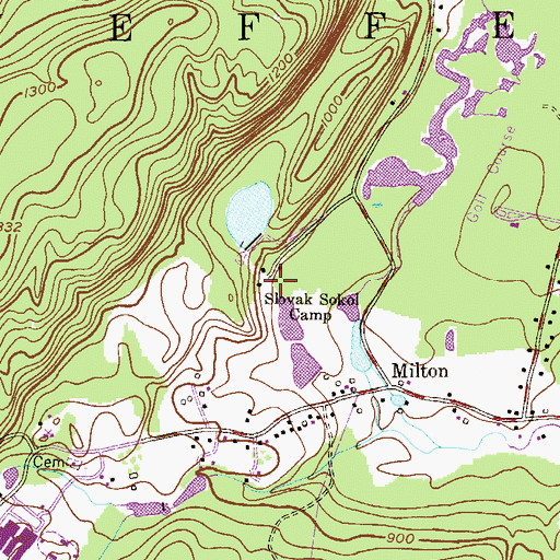 Topographic Map of Slovak Sokol Camp, NJ