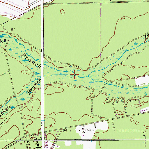 Topographic Map of South Ruckels Branch, NJ
