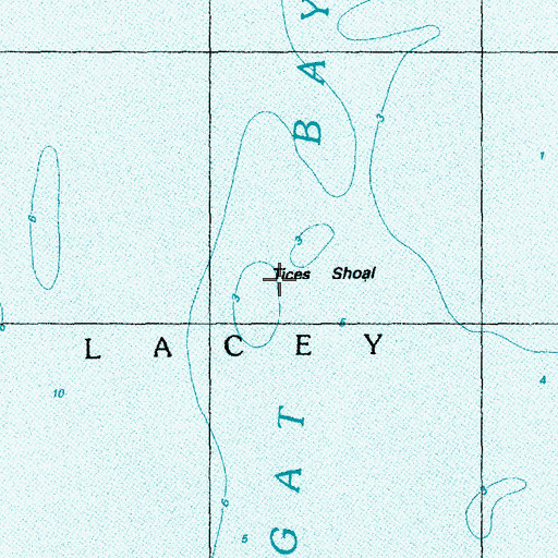 Topographic Map of Tices Shoal, NJ