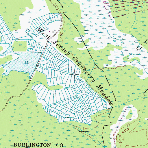 Topographic Map of West Jersey Cranberry Meadow, NJ