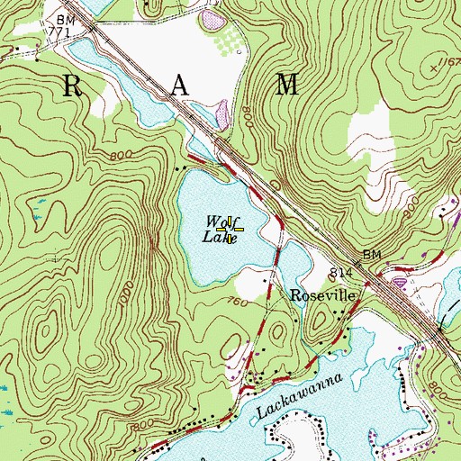 Topographic Map of Wolf Lake, NJ