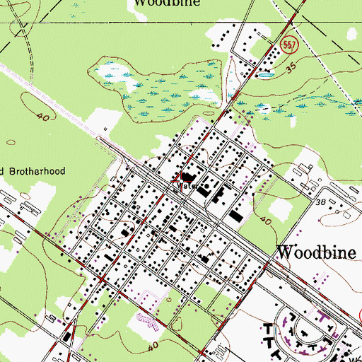 Topographic Map of Woodbine, NJ