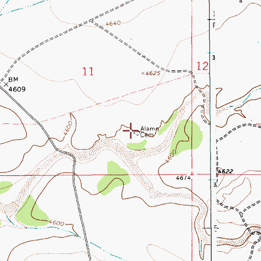 Topographic Map of Alamo Cemetery, NM