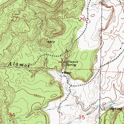 Topographic Map of Alamos Spring, NM