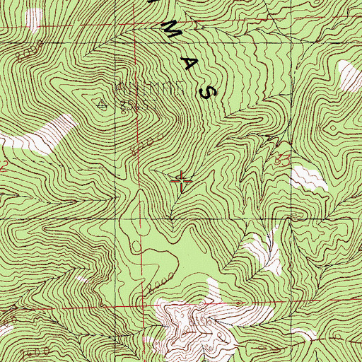 Topographic Map of Animas Mountains, NM