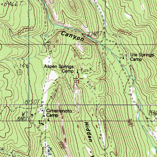 Topographic Map of Aspen Springs Trail Camp, NM