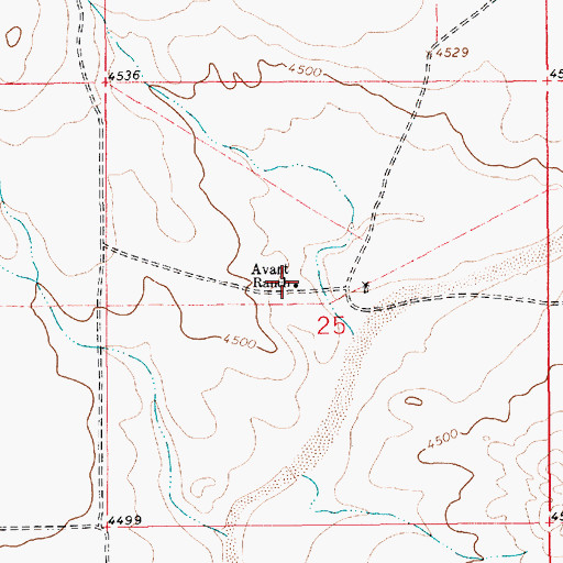 Topographic Map of Avant Ranch, NM