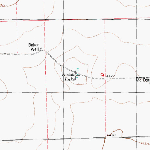 Topographic Map of Baker Lake, NM