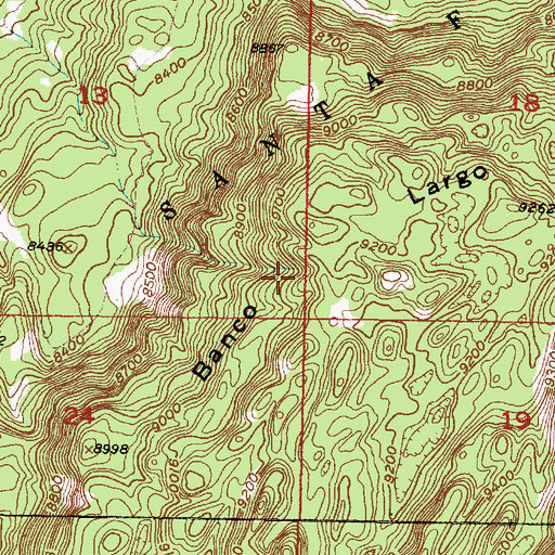 Topographic Map of Banco Largo, NM