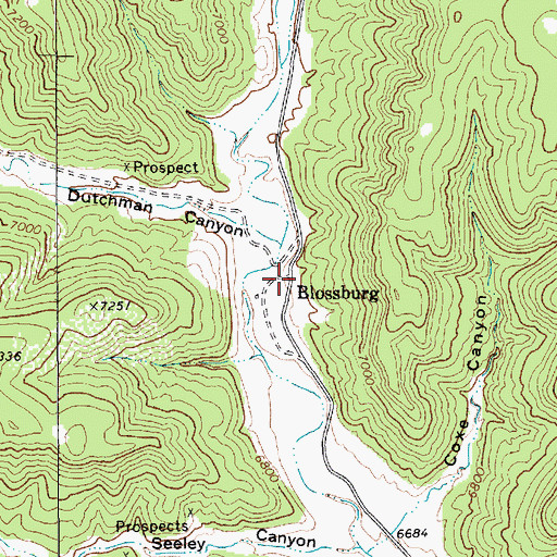 Topographic Map of Blossburg, NM