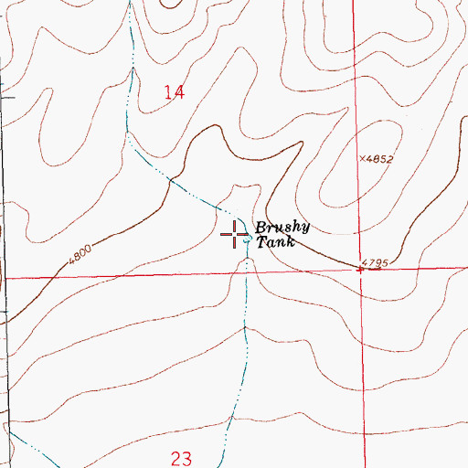 Topographic Map of Brushy Tank, NM