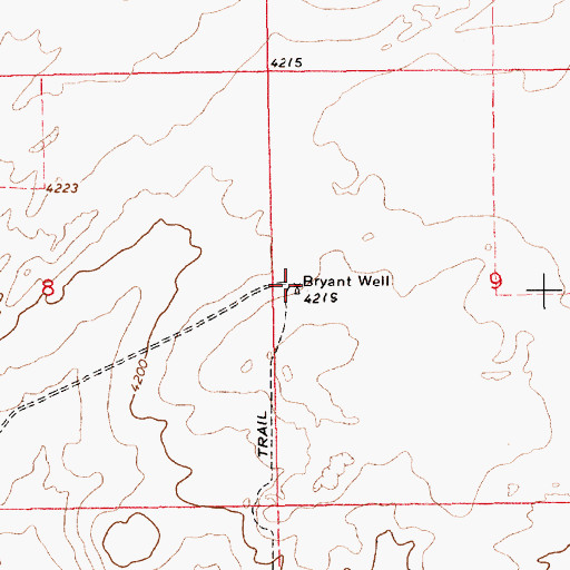 Topographic Map of Bryant Well, NM
