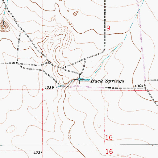 Topographic Map of Buck Springs, NM