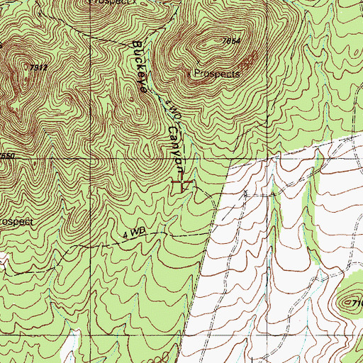Topographic Map of Buckeye Canyon, NM