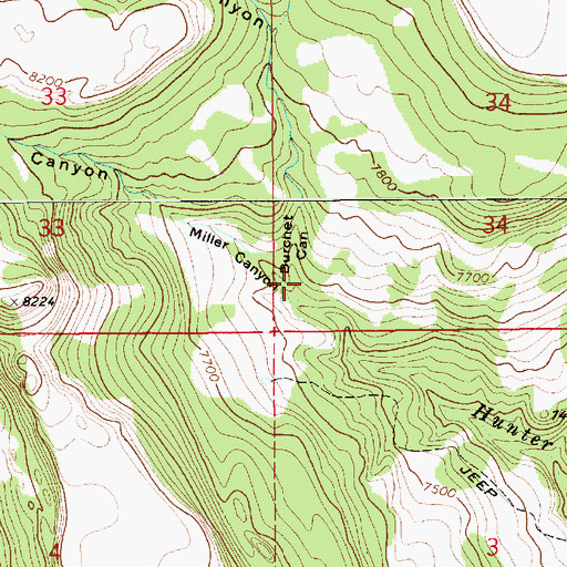 Topographic Map of Burchet Canyon, NM