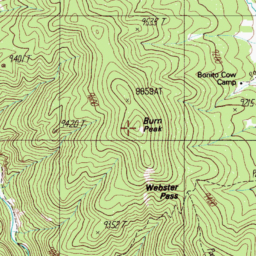 Topographic Map of Burn Peak, NM