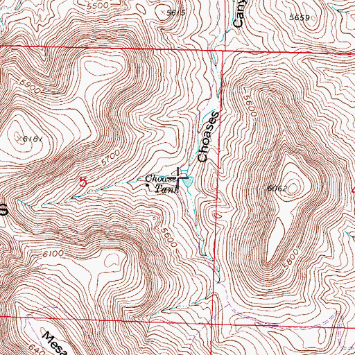 Topographic Map of Choases Tank, NM