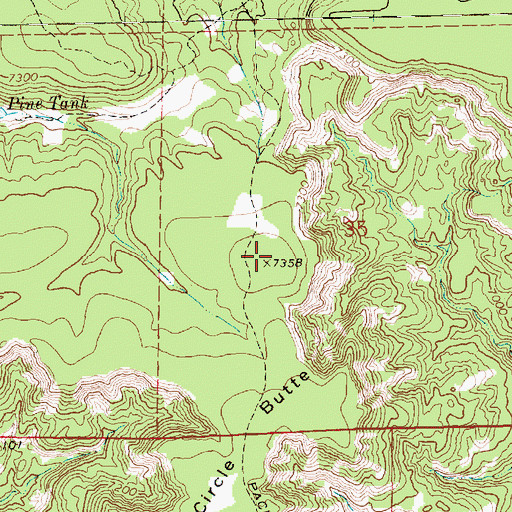 Topographic Map of Circle Butte, NM