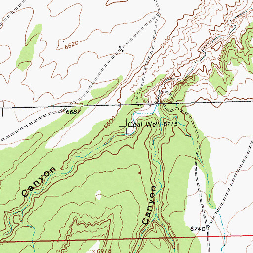 Topographic Map of Coal Well, NM