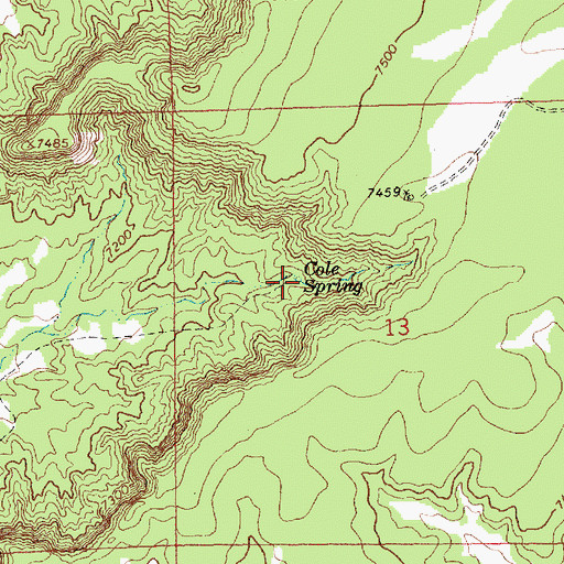 Topographic Map of Cole Spring, NM