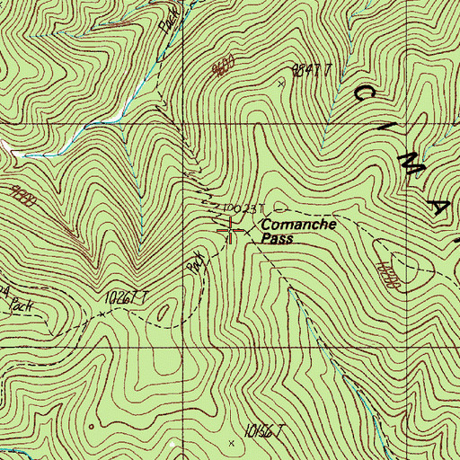 Topographic Map of Comanche Pass, NM
