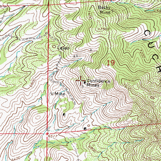 Topographic Map of Confidence Mines, NM