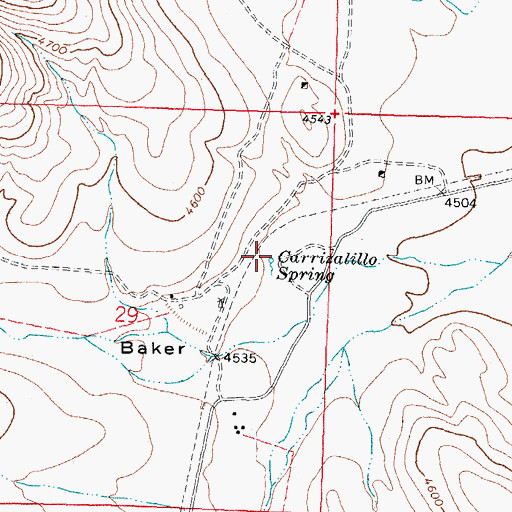 Topographic Map of Corrizalillo Spring, NM