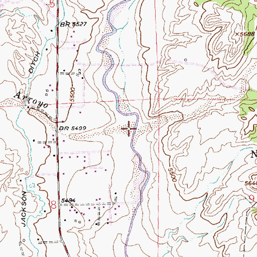 Topographic Map of Coyne Arroyo, NM