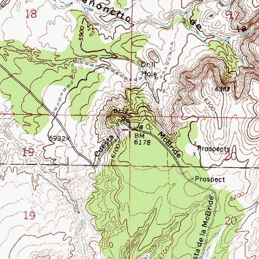 Topographic Map of Cuesta de la McBride, NM