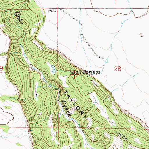 Topographic Map of Dale Springs, NM