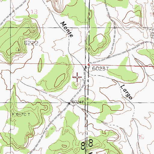 Topographic Map of Darrell Ranch, NM