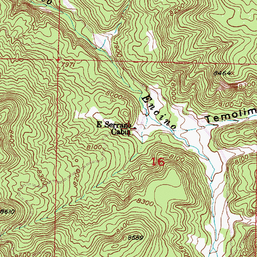 Topographic Map of E Serrano Cabin, NM