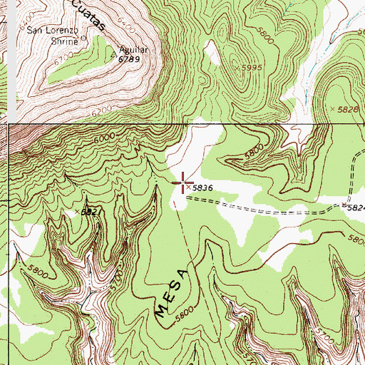Topographic Map of East Mesa, NM