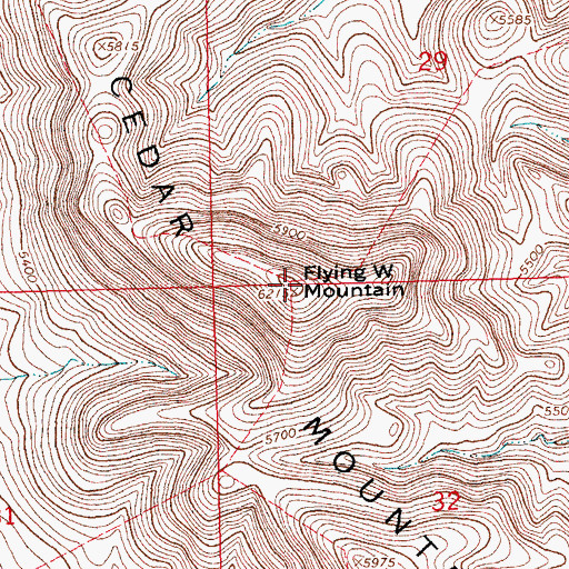 Topographic Map of Flying W Mountain, NM