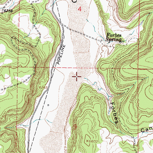 Topographic Map of Forbes Canyon, NM