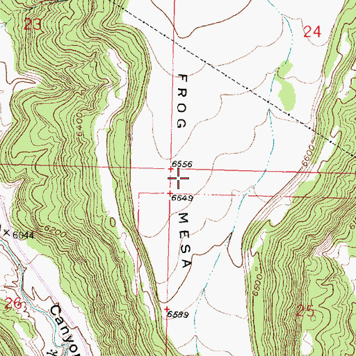 Topographic Map of Frog Mesa, NM