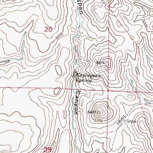 Topographic Map of Fryingpan Spring, NM