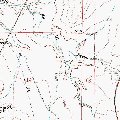 Topographic Map of Gaviso Arroyo, NM