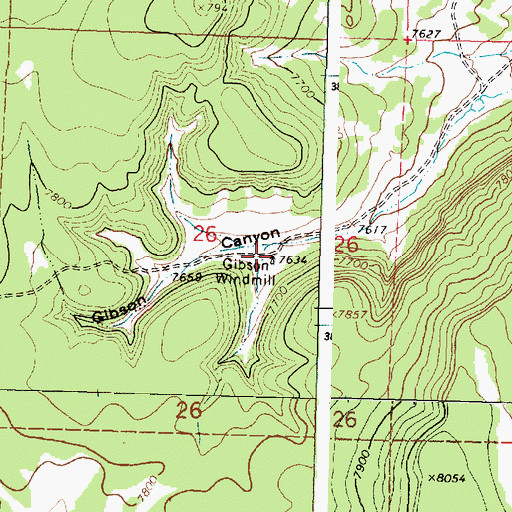 Topographic Map of Gibson Windmill, NM