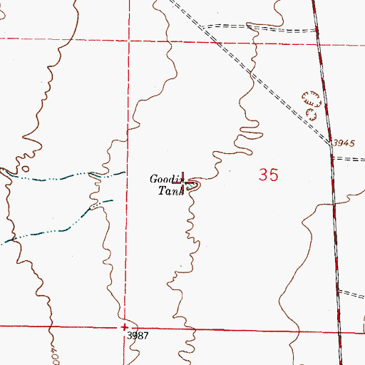 Topographic Map of Goodin Tank, NM