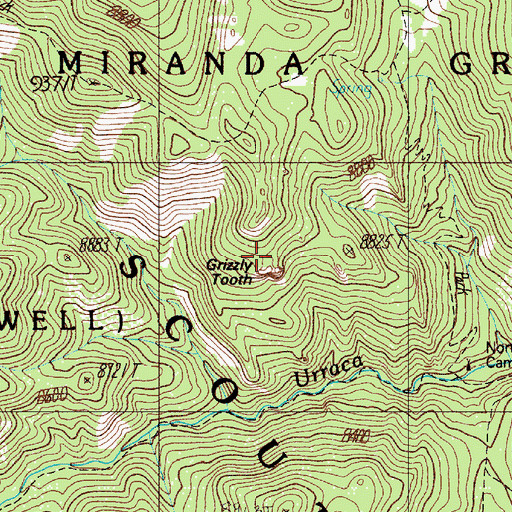 Topographic Map of Grizzly Tooth, NM