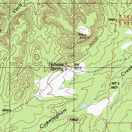 Topographic Map of Hillside Spring, NM