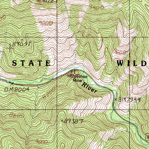 Topographic Map of Horseshoe Mine, NM
